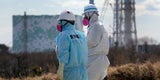 Japan will ab Donnerstag Fukushima-Kühlwasser ins Meer ableiten