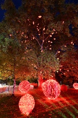 Wiens Christkindlmarkt heuer wieder mit "Bussiplatz" beim Herzerlbaum