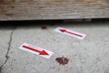 Mann wollte Nachbarin und sich selbst töten  - mit Benzin!