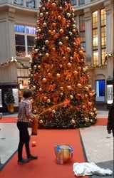 oRANGE bAUM