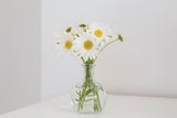 Falsche Botschaft: Diese Blumen sollten Sie nicht zum Muttertag verschenken