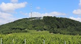 Kahlenberg