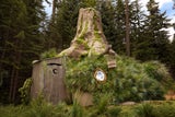 Auf Airbnb kann man jetzt in Shreks Sumpf übernachten