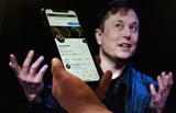 Musk