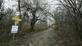Frauenleiche Wienerwald Hernals