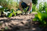 Im April werden die Gemüsebeete gut vorbereitet und die ersten Samen in die Erde gesetzt. 