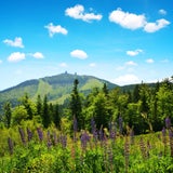 Der große Arber ist mit 1.455,5 Metern der höchste Berg des Bayerischen Waldes. 