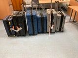 Reisende schmuggelten 120 Kilogramm Khat im Gepäck