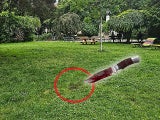 Arthaberpark