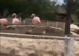 Gefängnis Venezuela