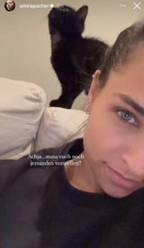 Amira Pocher Katze