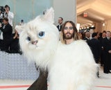 Von diesen Stars fehlte bei der Met Gala 2024 jede Spur