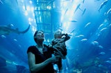 Dubai für Familien: Must-visits für Jung und Alt