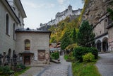 Frühling von seiner schönsten Seite im Mariazeller Land