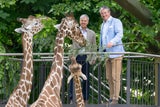 Frühlingshafter Blätterschmaus für Giraffen