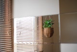 Räume ohne Fenster lüften: Das sollten Sie beachten