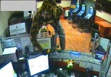 Fahndung Camouflage Wien