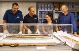 Yoli Schwartz / Israel Antiquities Authority