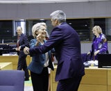Leyen nehammer