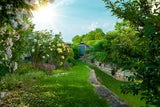 Was viele jetzt im Garten falsch machen