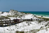 Hai-Attacke in Florida