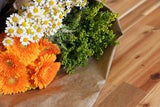 Geheime Liebesbotschaften: Die Bedeutung hinter Valentinstagsblumen