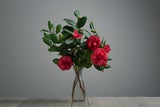 Geheime Liebesbotschaften: Die Bedeutung hinter Valentinstagsblumen
