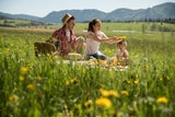In der Oststeiermark locken saftig grüne Wiesen.&nbsp;&nbsp;