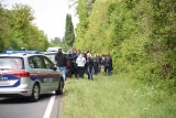 BMW Bande Teenies