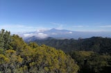 La Gomera Garajonay Nationalpark 