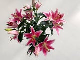 Geheime Liebesbotschaften: Die Bedeutung hinter Valentinstagsblumen