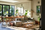 Monstera, Bonsai und Co.: Das sind die beliebtesten Zimmerpflanzen