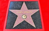 Lenny Kravitz