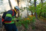 Waldbrand in Mödling: Feuerwehr im Einsatz