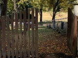 FPÖ-Politiker tötet Geliebte: Leiche auf Friedhof in Tschechien entdeckt