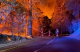 Waldbrand auf Teneriffa