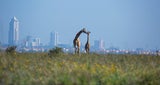 Nairobi: Die Hauptstadt Kenias hat die koloniale Vergangenheit abgeschüttelt.