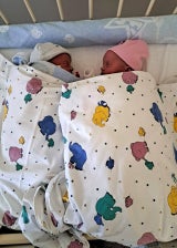 Neujahrsbabys: Zwillinge um 0.00 und 0.01 in Tulln geboren
