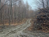 Frauenleiche Wienerwald