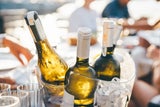 Schock-Prognose: Bald kein Grüner Veltliner mehr