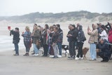 Fellnasen auf der Welle: Vierbeiner zeigen Talent bei Hundesurf-EM