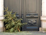 Christbaum entsorgen: Was erlaubt ist und wie es gelingt