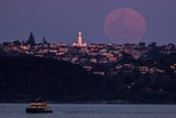 Supermond in Sydney
