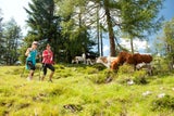 Eine fantastische Aussicht garantiert das Wandern auf der Postalm 