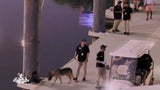 Razzia bei den Geissens