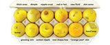 Das Foto der "Know Your Lemons Foundation", einer gemeinnützigen globalen Organisation zur Aufklärung über Brustgesundheit, soll dabei helfen, Brustkrebs leichter und schneller zu erkennen.&nbsp;