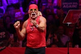 Hogan