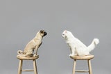 tiere