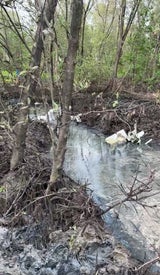 Flugzeugabsturz in Thailand: Sieben Touristen vermisst