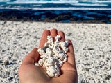 Neuer Instagram-Spot: An DIESEN Strand wollen jetzt alle!